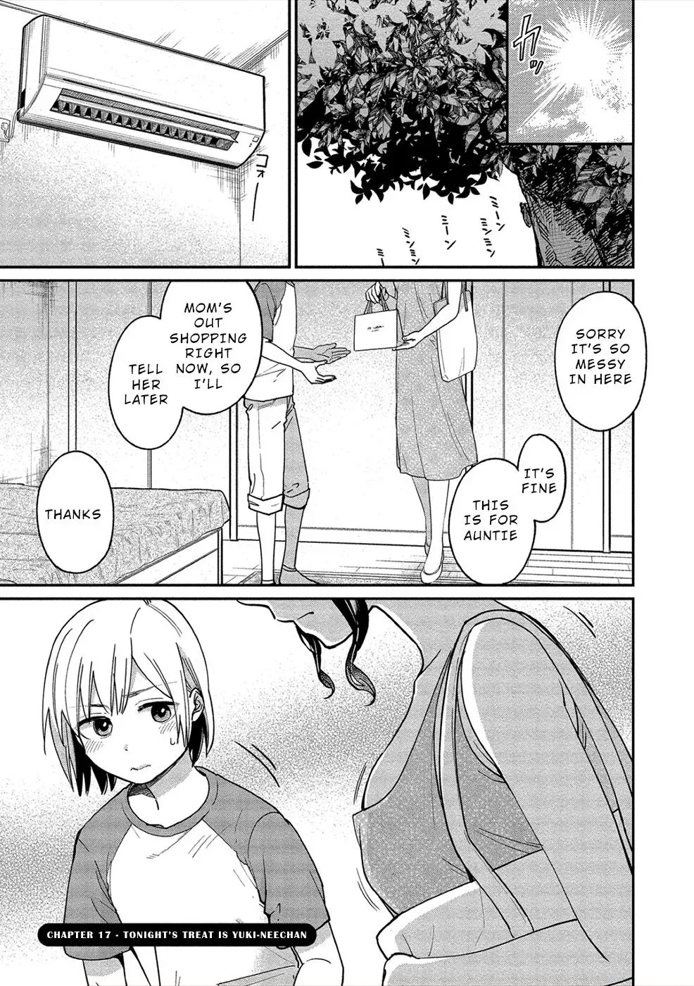  Chapter 17 page 1 - 