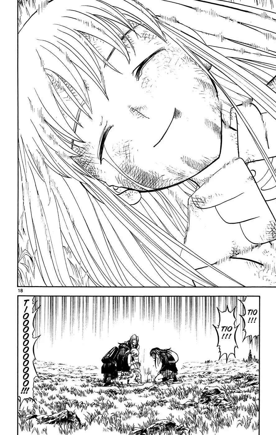 Zatch Bell! Chapter 309 page 16 - 